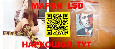 индика Заволжье