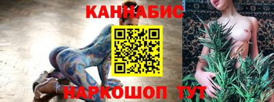 индика Заволжье