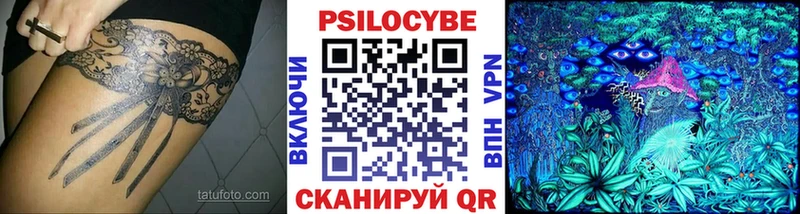 закладки  Новоалтайск  Галлюциногенные грибы мицелий 