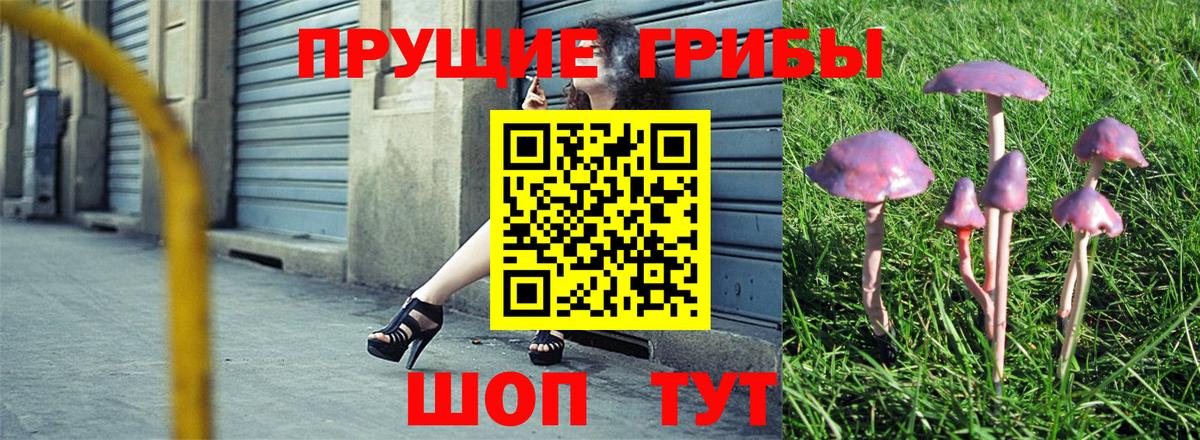 Новоалтайск  где купить наркоту  Вход с VPN  Галлюциногенные грибы Cubensis 