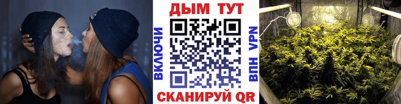 наркошоп  Новоалтайск  Марихуана ГИДРОПОН 
