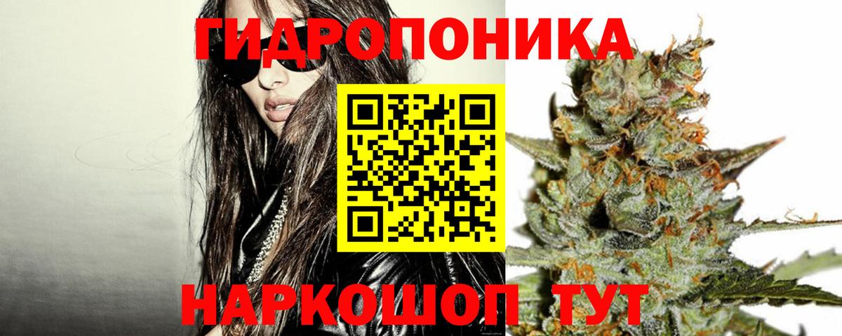 Бошки Шишки Ganja  Бошки Шишки семена  Новоалтайск  Вход с VPN  Бошки марихуана сатива 